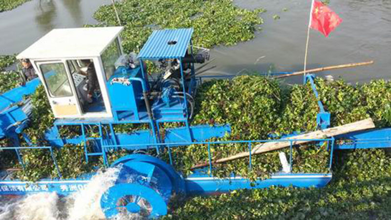 Water Hyacinth Collection Boat C516HL series