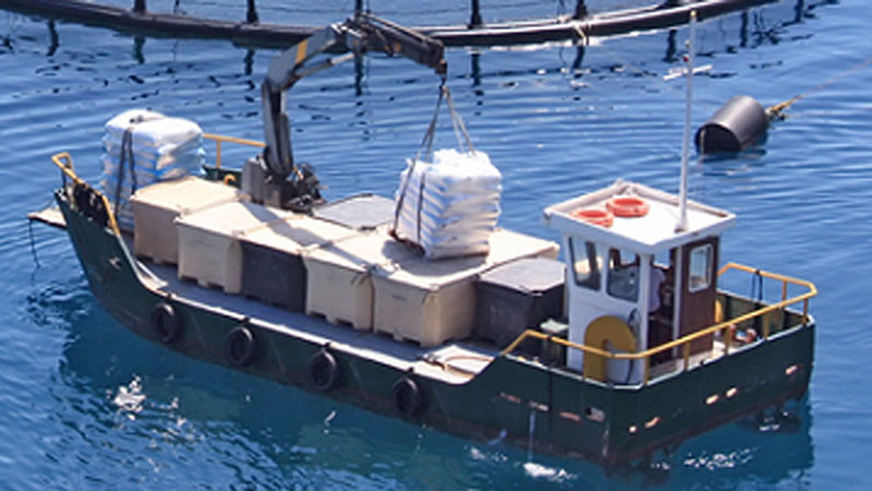 Fishery Work Boat C817YC series