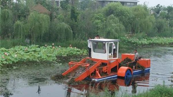 Weed Cleaning Boat C516GC series