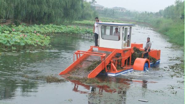 Water Hyacinth Collection Boat C516HL series