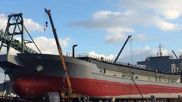 Belt Self-discharging Transport Ship C517PZ series