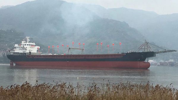 Belt Self-discharging Transport Ship C517PZ series