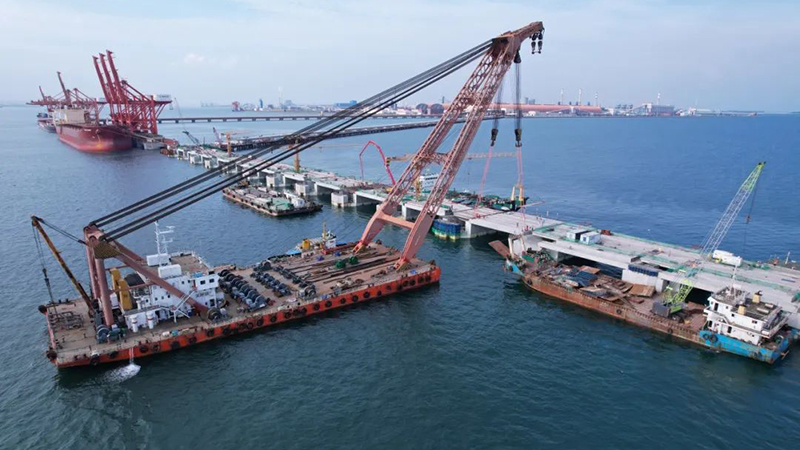 Multi-purpose Self-propelled Platform C818ZHT series