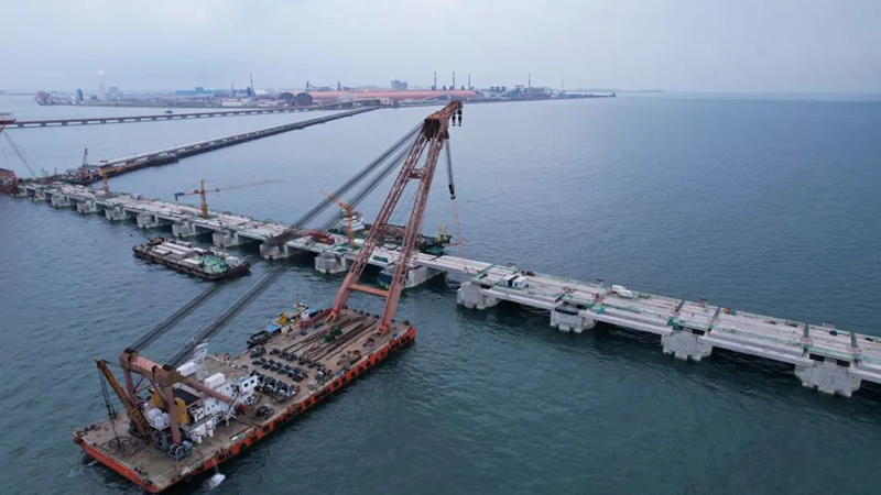 Multi-purpose Self-propelled Platform C818ZHT series