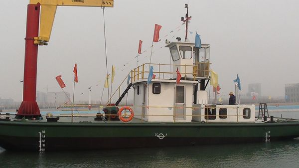 Single Propulsion Service Work Boat C817D series