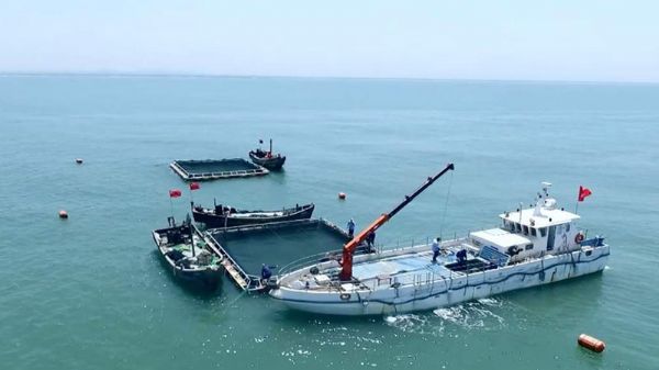 Fishery Work Boat C817YC series